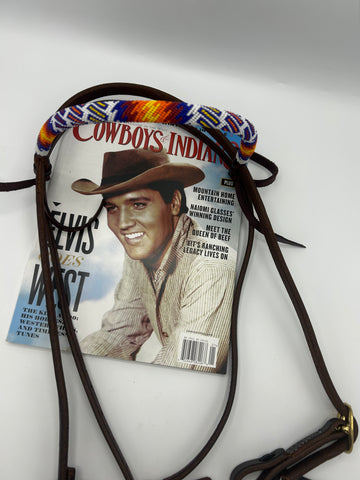 “Desert Sunset” Browband Headstall